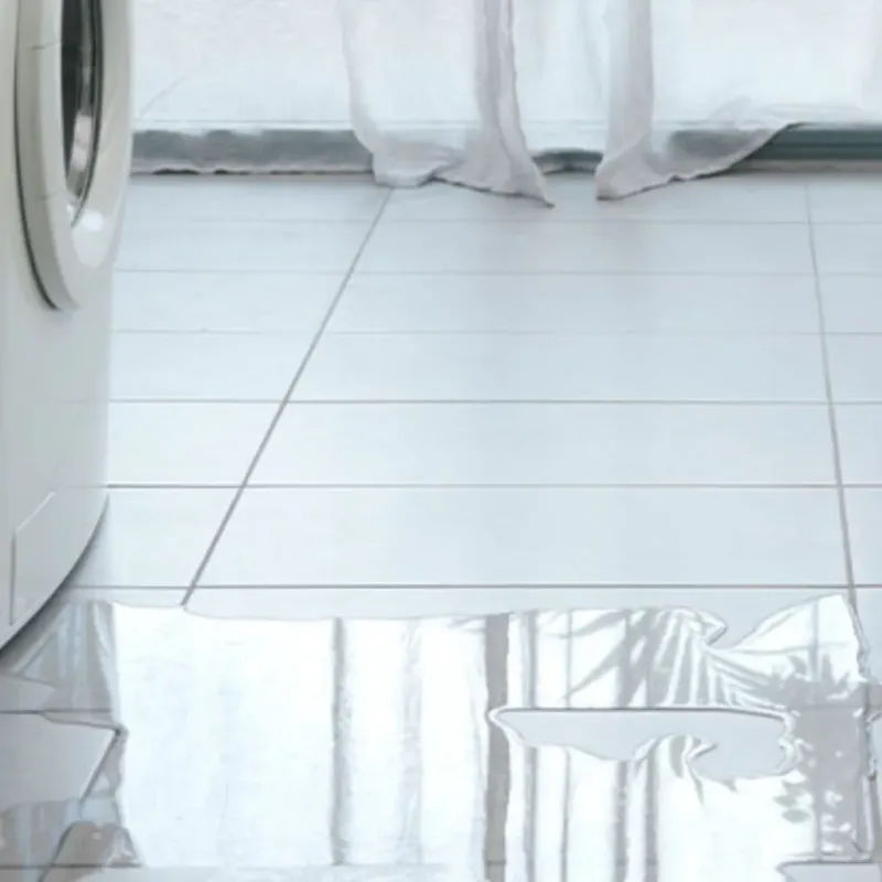 Appliance Leak Cleanup in Glencoe, FL