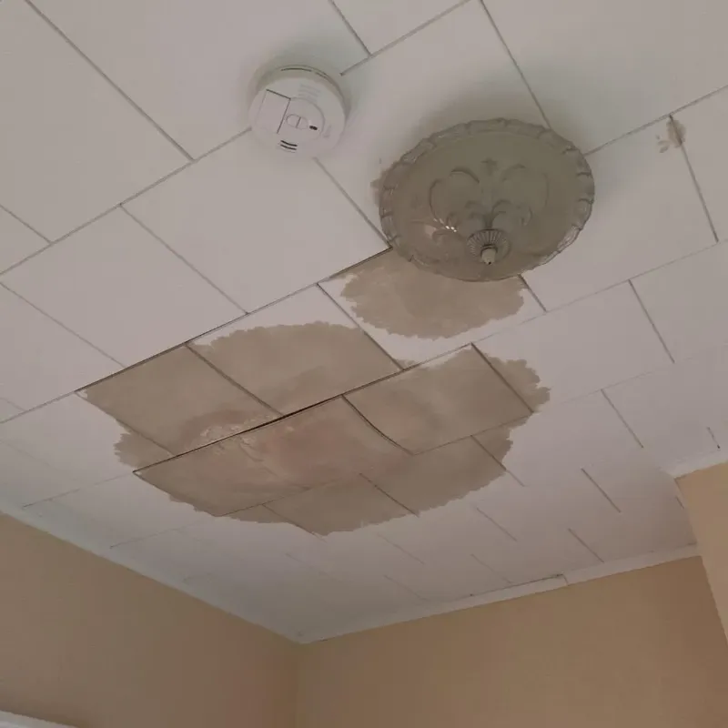 Ceiling Water Damage Repair in Glencoe, FL