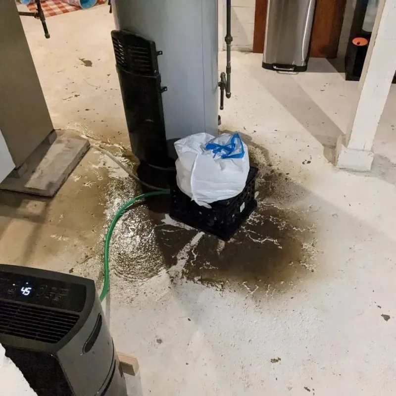 Sewage Backup Cleanup Service in Glencoe, FL